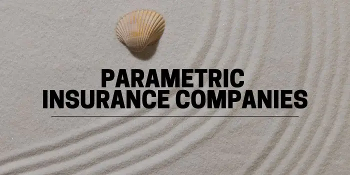 Parametric Insurance Companies in USA