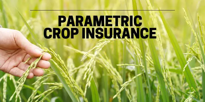 parametric crop insurance