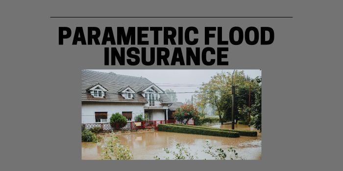 parametric flood insurance