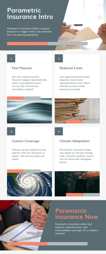 Parametric Insurance Infographic