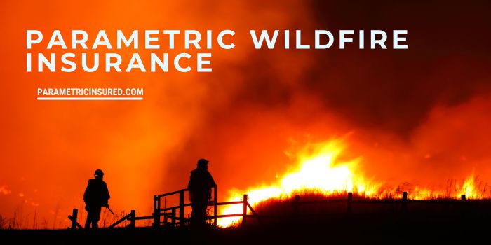 parametric wildfire insurance